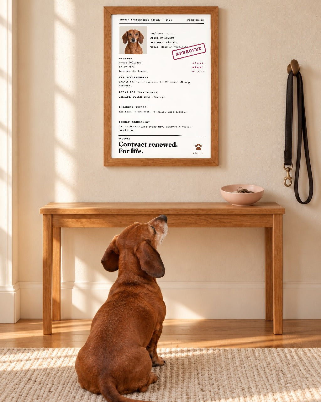 The Annual Review in a red oak frame in an entryway, with a dachshund sitting and looking up at it