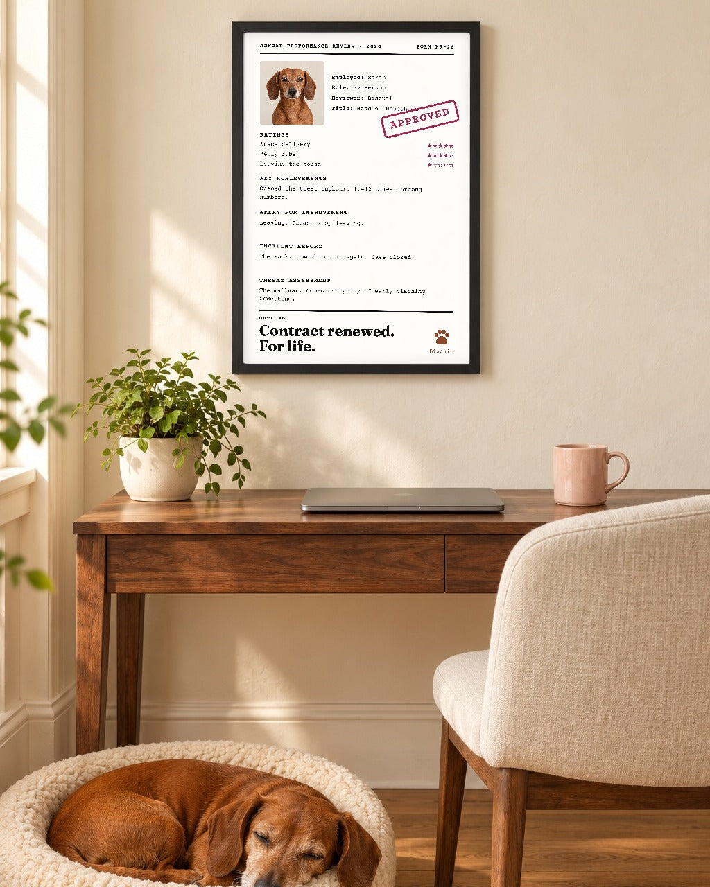 The Annual Review in a black frame above a desk, with a dachshund asleep in his bed below