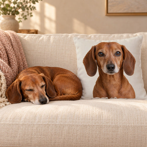 The Body Double, a square pillow printed with a dachshund's photo, on a sofa beside the dog himself, asleep